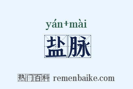 盐脉是什么意思的图片